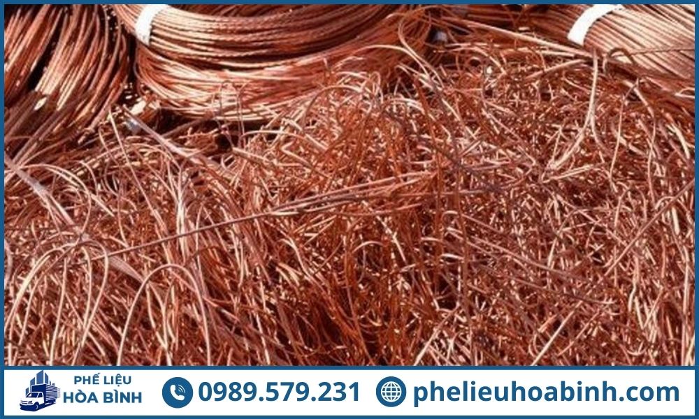 Những nhóm phế liệu chuyên được thu mua ở quận 6