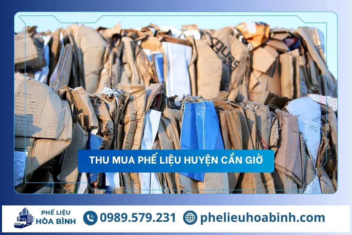 Thu mua phế liệu huyện Cần Giờ uy tín, hỗ trợ tận nơi, giá cao