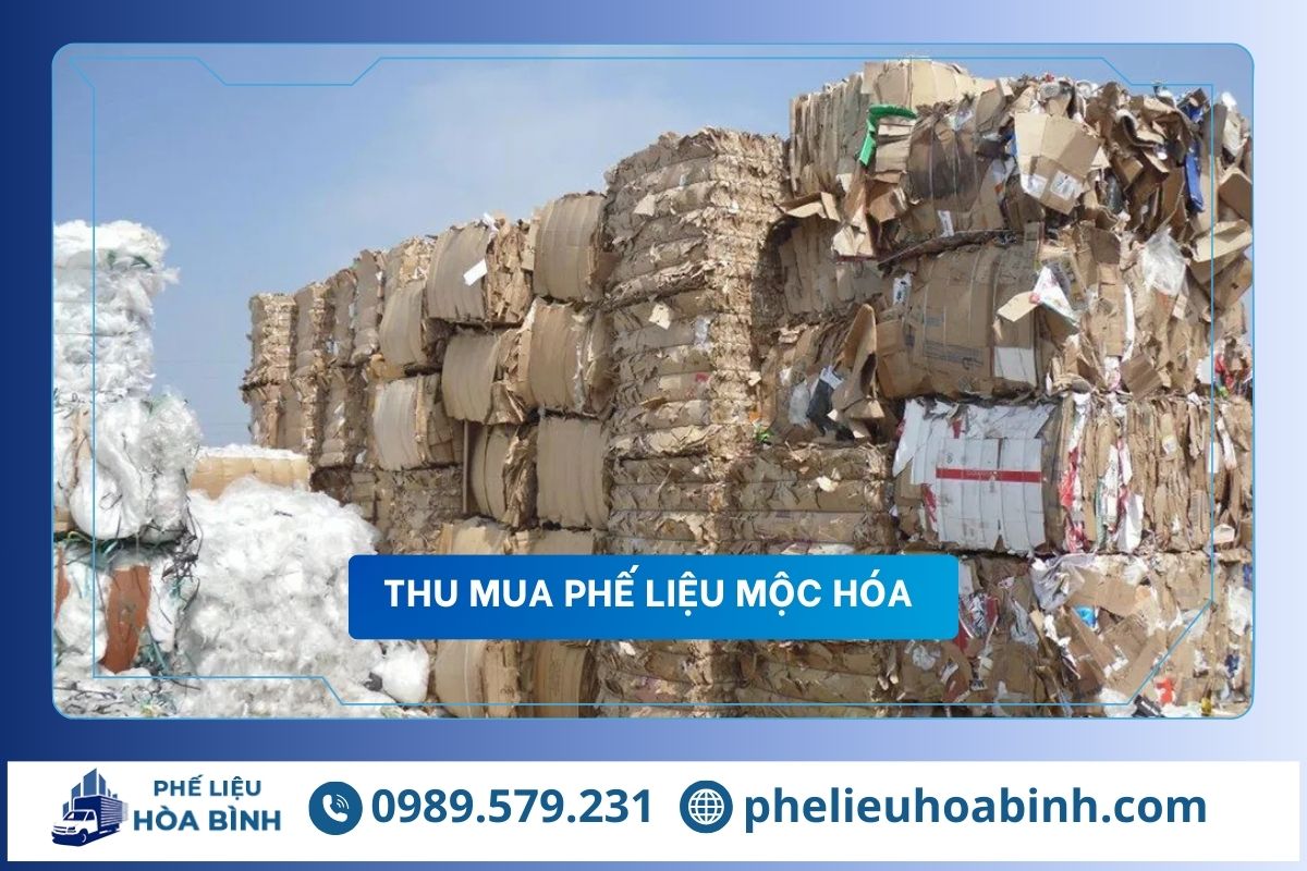 Thu mua phế liệu Mộc Hóa uy tín, hỗ trợ tận nơi, giá cao