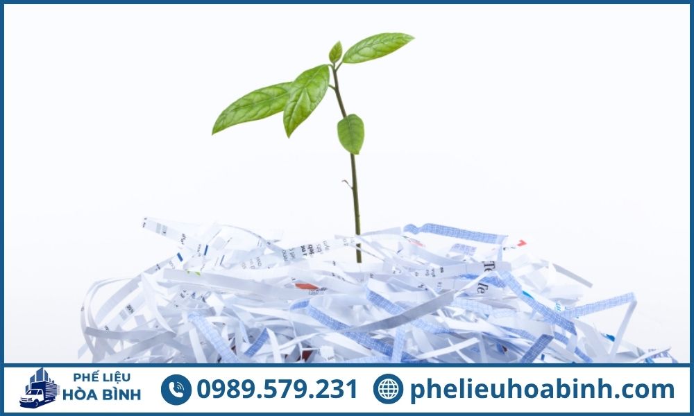 Thanh lý giấy vụn phế liệu làm tăng vòng đời của giấy, tiết kiệm tài nguyên