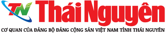 Phế Liệu Hòa Bình trên Báo Thái Nguyên